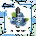 Blueberry Fresh 60ml | Squish - Bajo Tierra Store